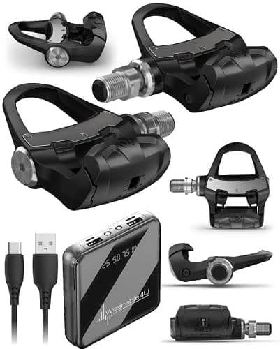Garmin Rally RK100